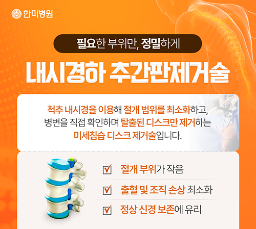 추간판제거술